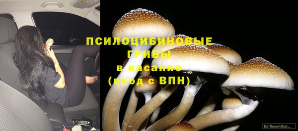 синтетический гашиш Вяземский
