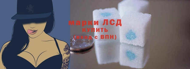 ECSTASY Вязники