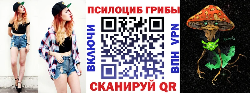 Купить закладки  Стародуб  Псилоцибиновые грибы прущие грибы 